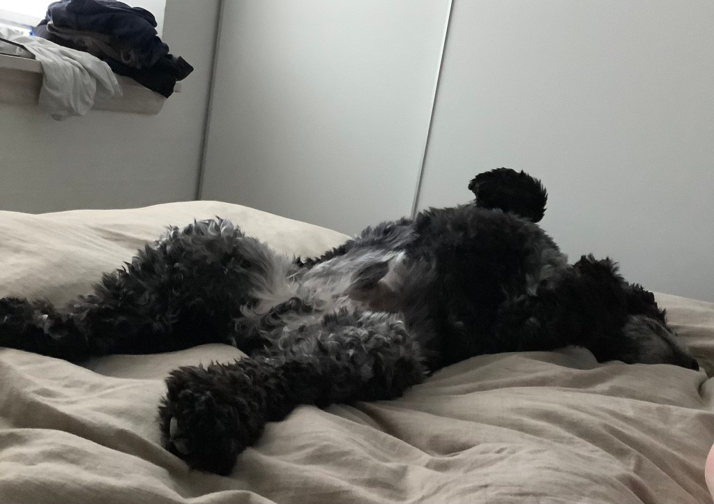 Alternative Jobs: Part&nbsp;2