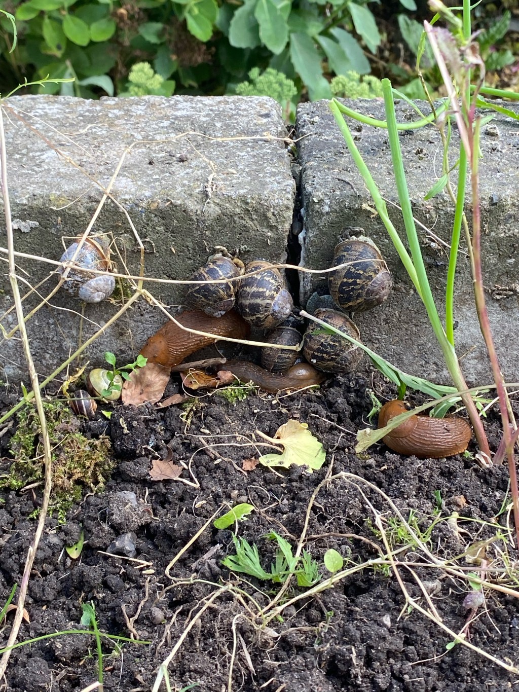 Alternative Jobs: Part 3 (and why I would fail at&nbsp;them)